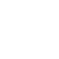 Global Tech Solutions